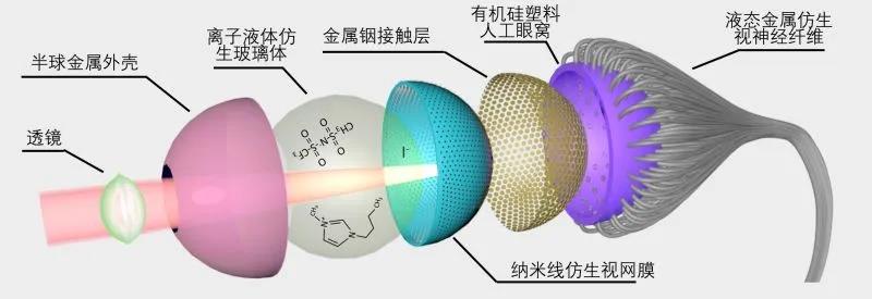微信图片_20200814135915.jpg