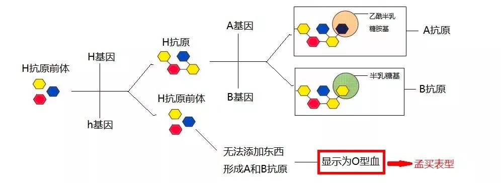 微信图片_20210301151606.jpg