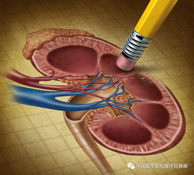 微信图片_20230523111642.png