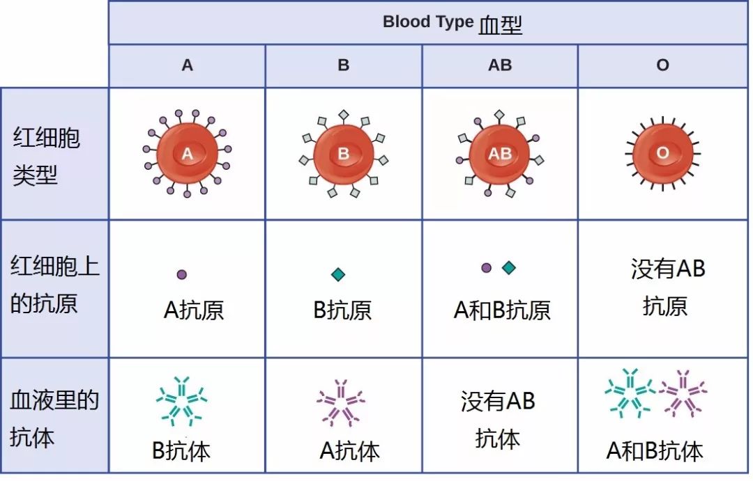 微信图片_20210301151601.jpg