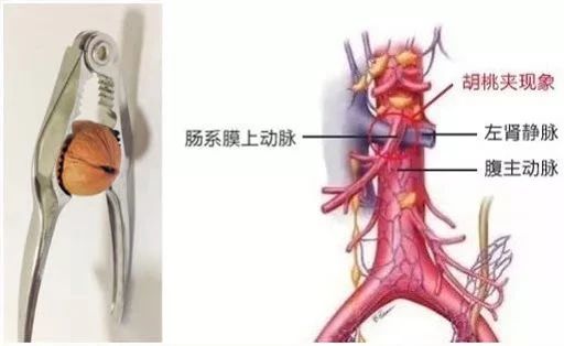 微信图片_20201030103125.jpg