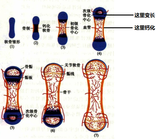 微信图片_20210126142821.png
