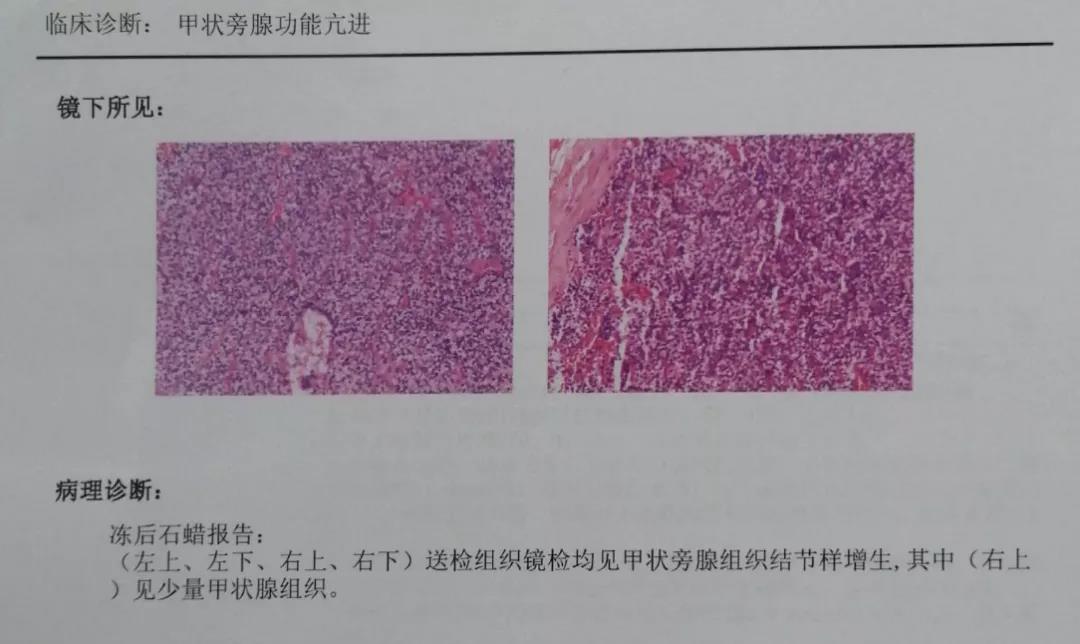 微信图片_20211018102406.jpg
