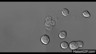 微信图片_20210126111423.gif