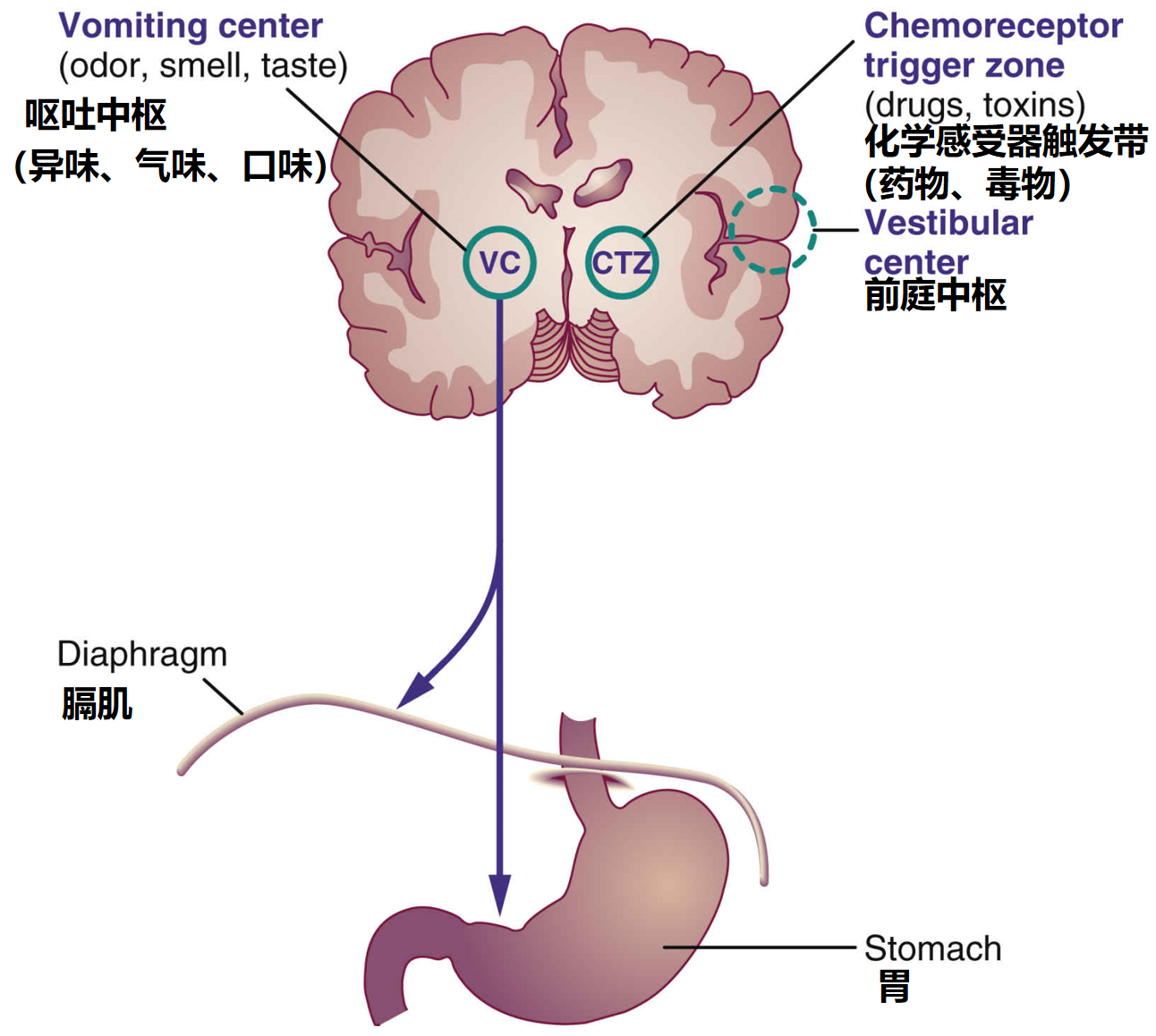 微信图片_20210126111415.png