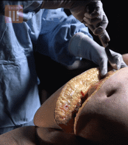 微信图片_20200821165845.gif