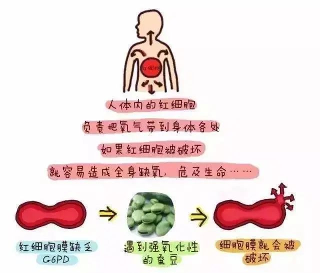 微信图片_20210319130401.jpg