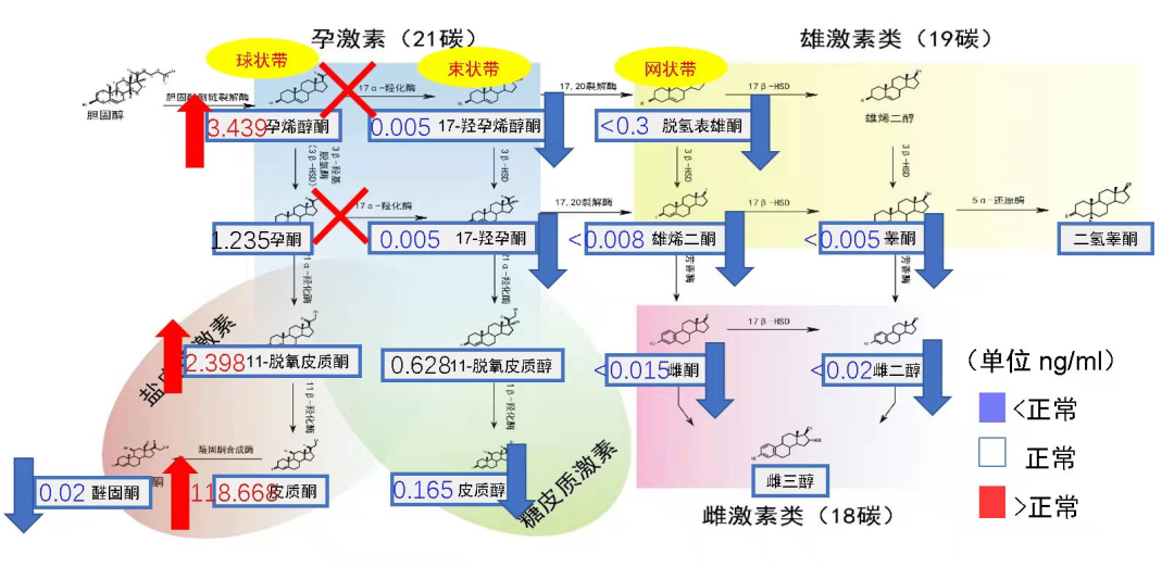 微信图片_20220314112347.png