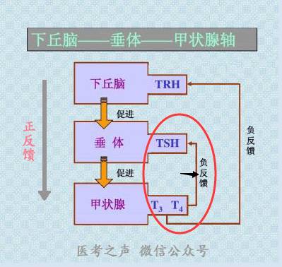 微信图片_20210618150916.jpg
