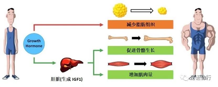 微信图片_20210610102107.jpg