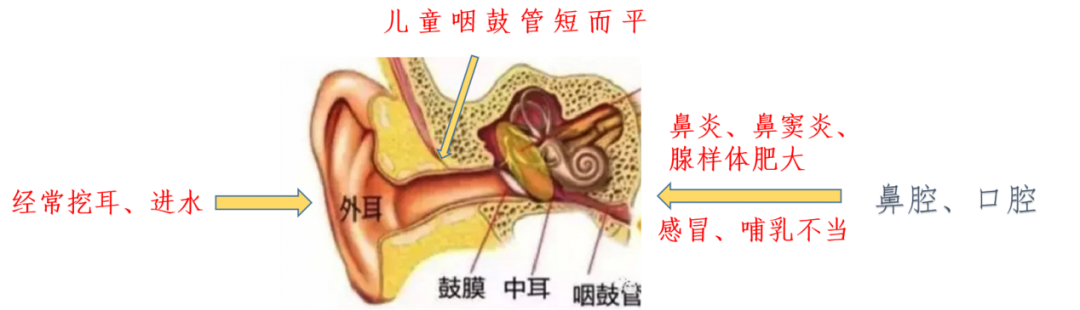 78912eb7dd16e5fe4d1adc8040daad08.jpg