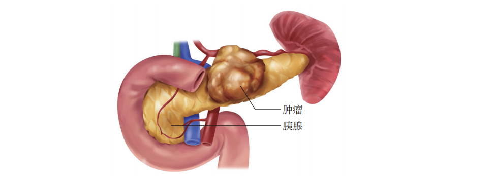 微信图片_20220928170408.png