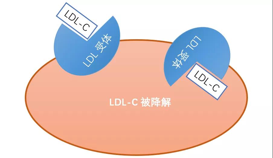 微信图片_20210609180110.jpg