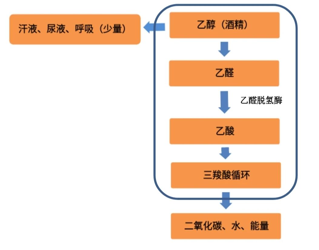 微信图片_20210206105041.jpg