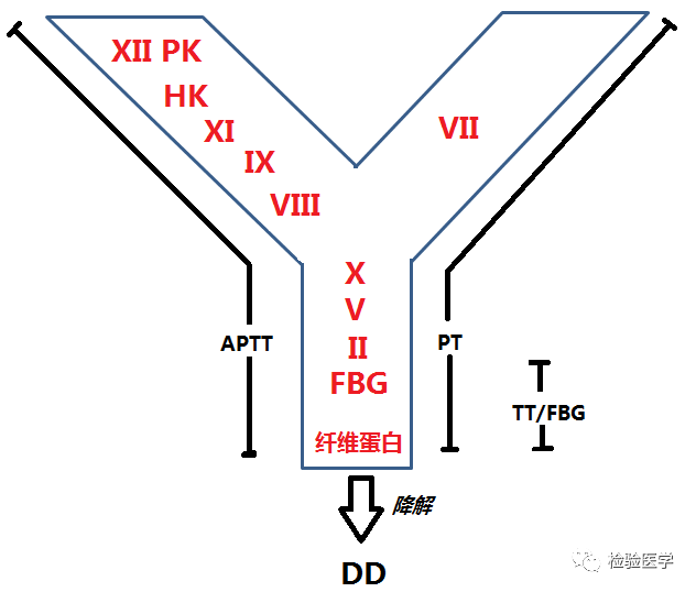 微信图片_20210219155344.png