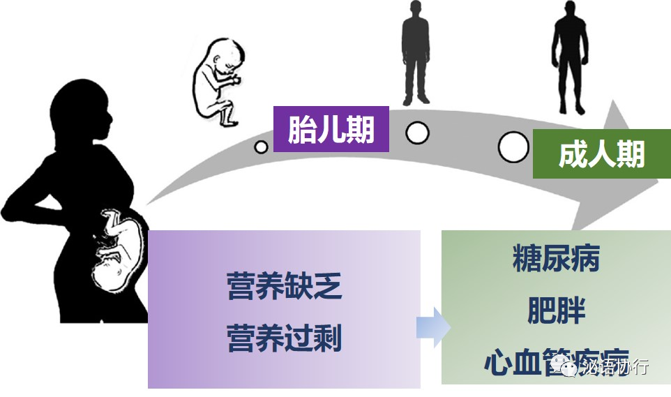 微信图片_20210805162945.png