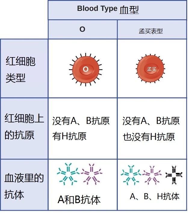 微信图片_20210301151608.jpg