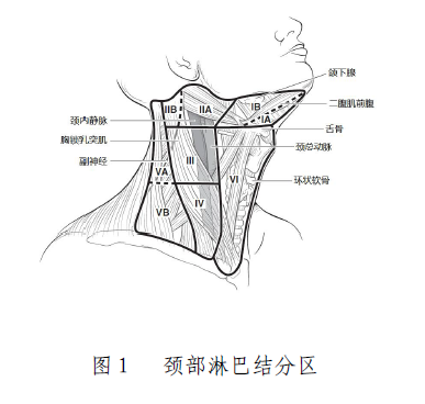 微信图片_20220429141711.png