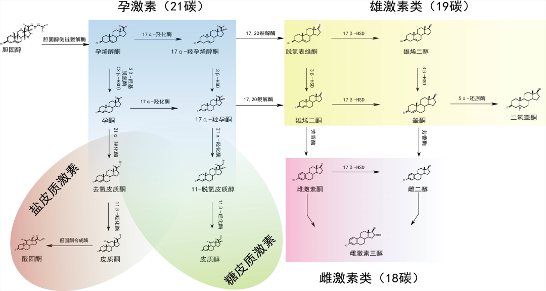 微信图片_20220314112339.png