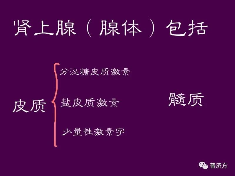微信图片_20200911154115.jpg