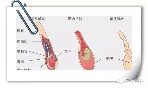 微信图片_20210311150554.jpg