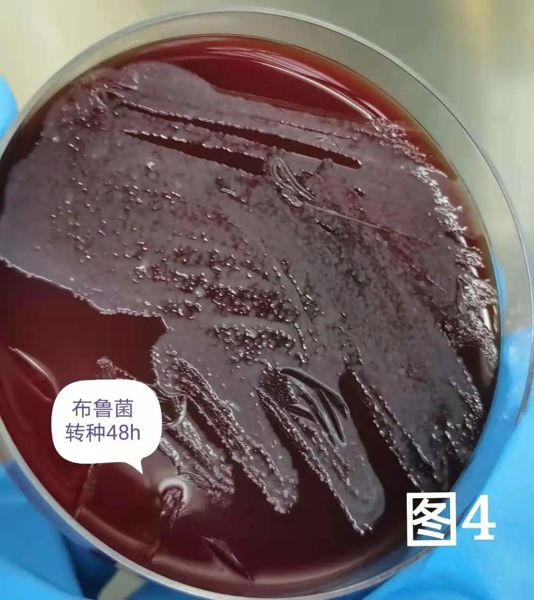 微信图片_20211224131751.jpg