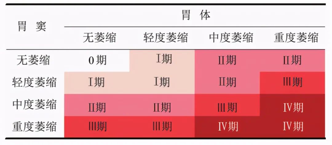 胃的四个分型图片图片