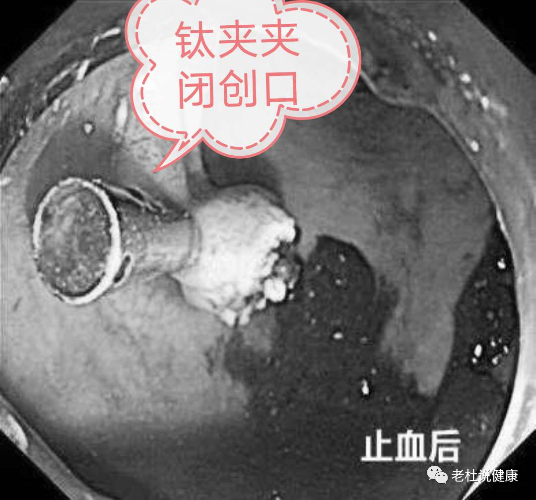 微信图片_20200821161403.png