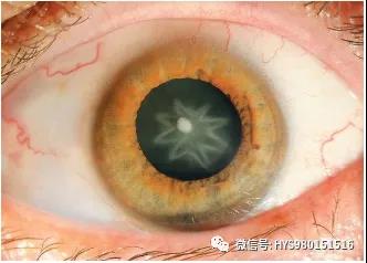 微信图片_20210127154508.jpg
