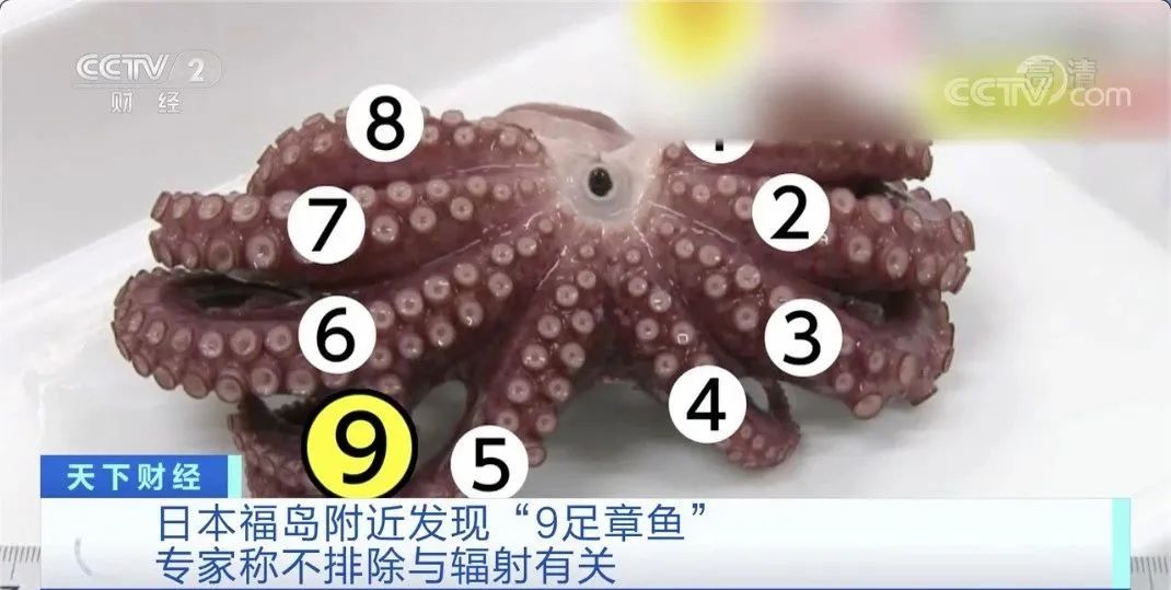 微信图片_20201202094643.jpg