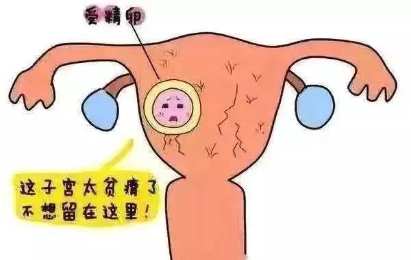 微信图片_20220117152612.jpg