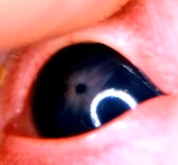 b8be9433cc22b5a56450fa415c49072a.png