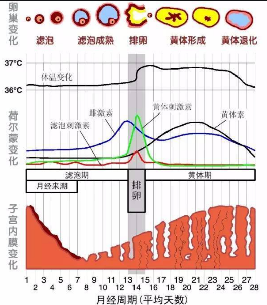 微信图片_20210513111155.png