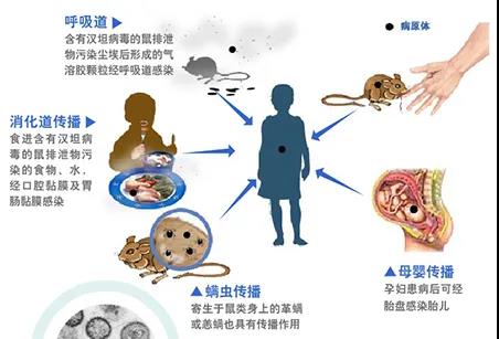 微信图片_20211126141003.jpg
