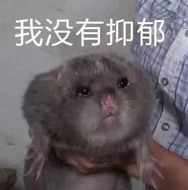 微信图片_20200811165428.jpg