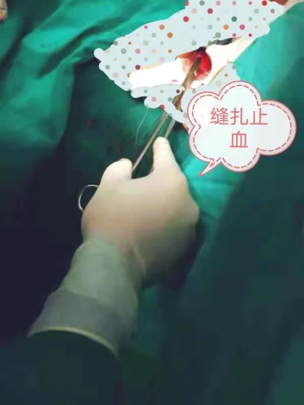 微信图片_20210331105318.jpg