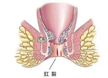 微信图片_20211104130406.jpg