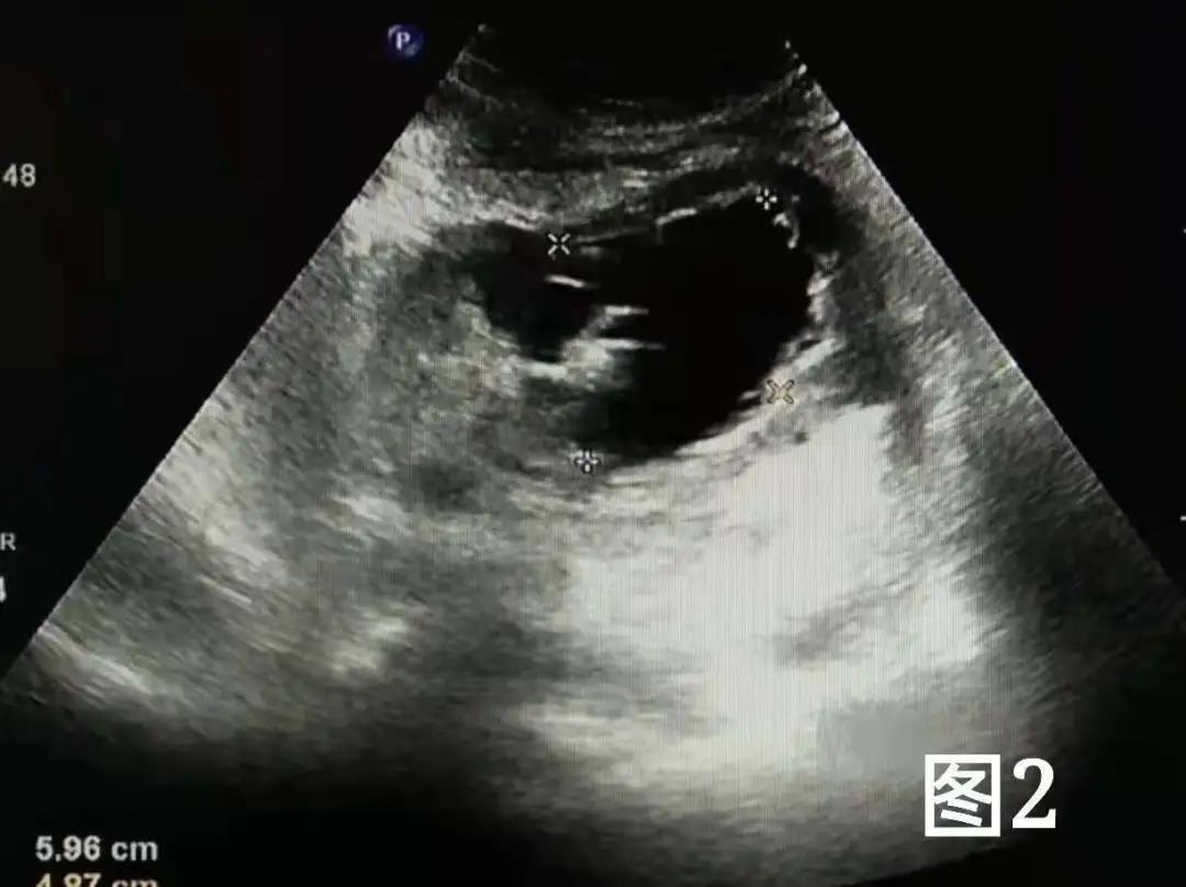 微信图片_20211224131729.jpg