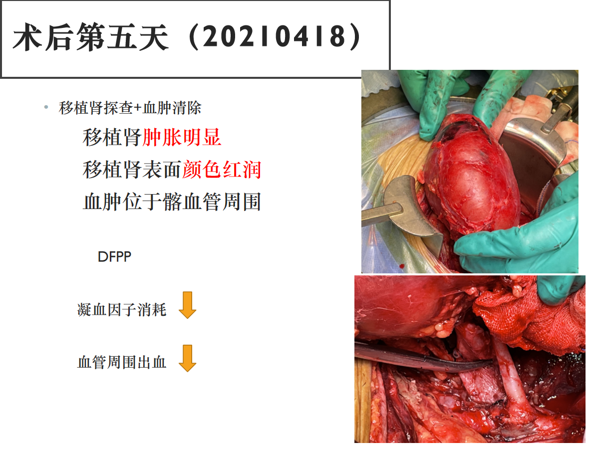 幻灯片8.png