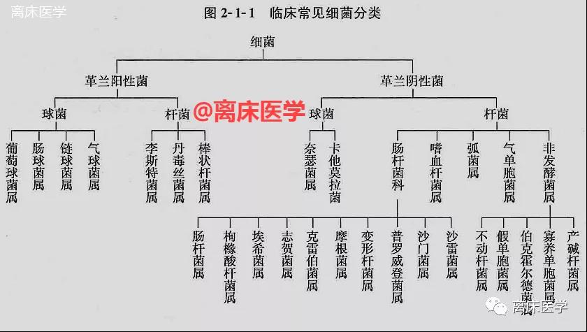 微信图片_20210329160516.jpg