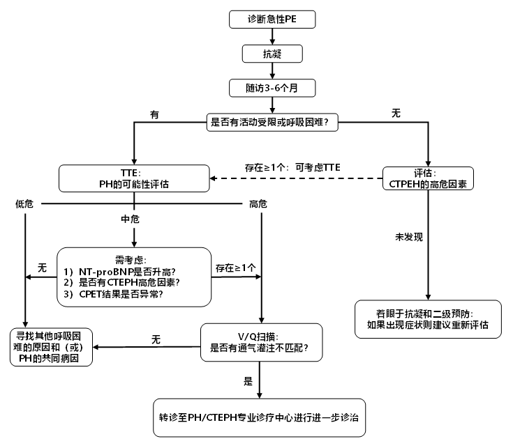 cts2020翟振国教授2019年esc肺栓塞指南更新要点解读