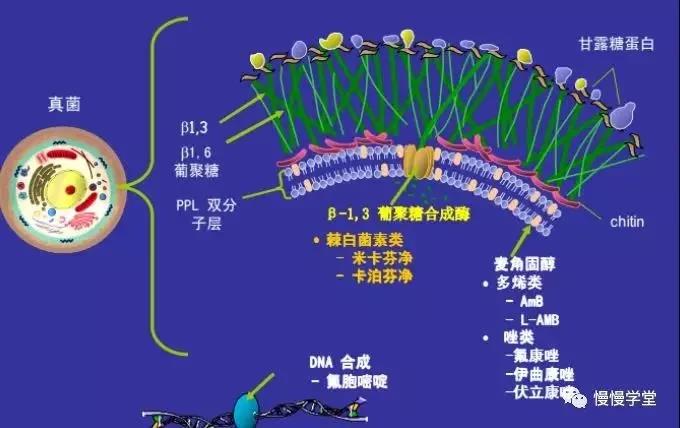 微信图片_20210219143204.jpg