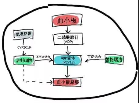 微信图片_20210326182925.jpg
