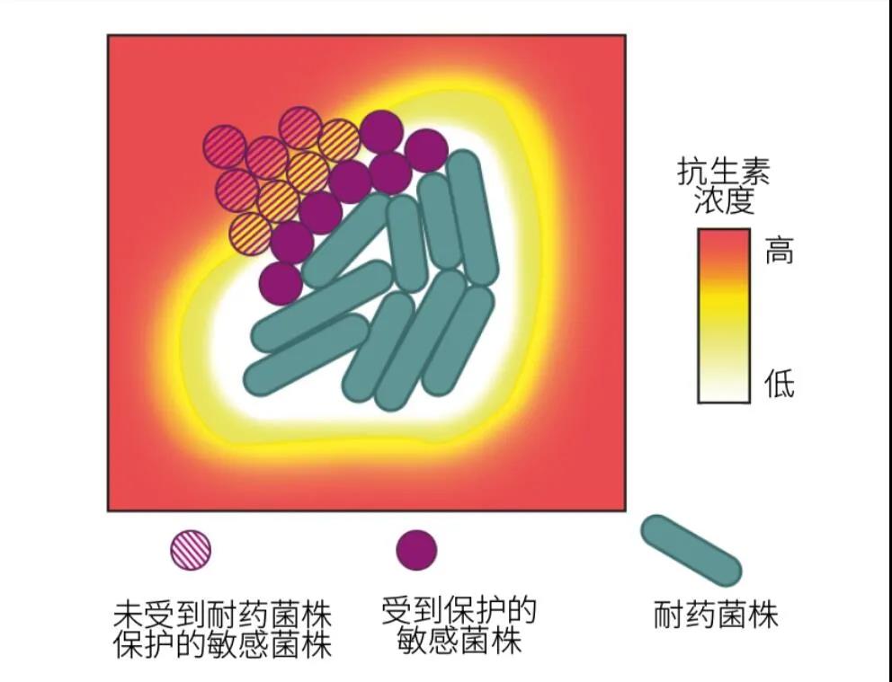 微信图片_20210319132900.jpg