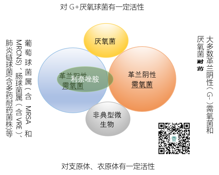微信图片_20210208141144.png