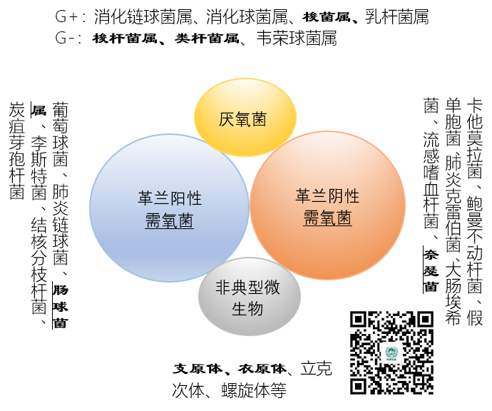 微信图片_20210208141133.png