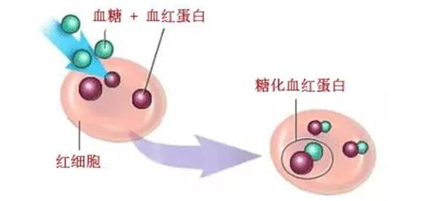 微信图片_20210301131344.png