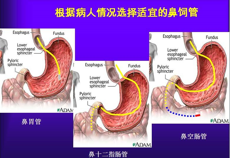 微信图片_20201209112511.png