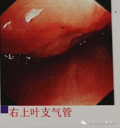 微信图片_20210616130459.png