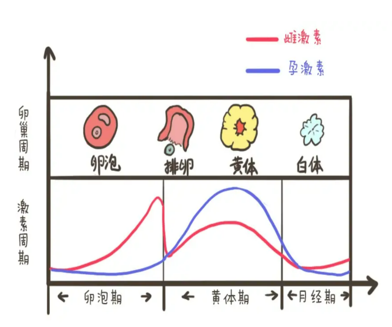 微信图片_20230301111216.png